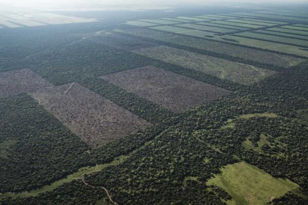 Argentine à vendre : le gouvernement et ses alliés cherchent à légaliser la vente illimitée de terres aux étrangers